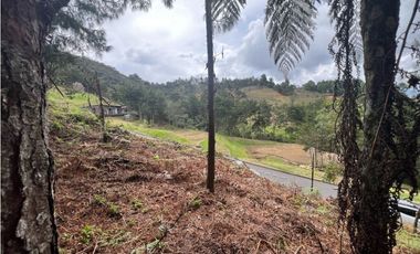 LOTES EN EL RETIRO ANTIOQUIA VA DON DIEGO LA CEJA EN PARCELACION