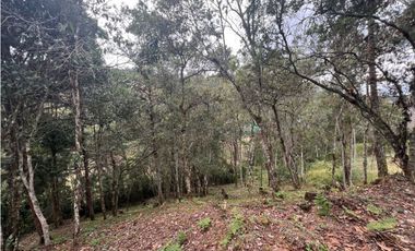 LOTES EN EL RETIRO ANTIOQUIA VA DON DIEGO LA CEJA EN PARCELACION