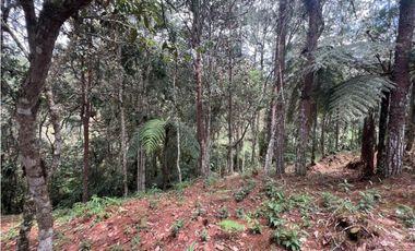 LOTES EN EL RETIRO ANTIOQUIA VA DON DIEGO LA CEJA EN PARCELACION