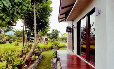 Exclusive PARADISE Beach Villas for Sale in Cebu