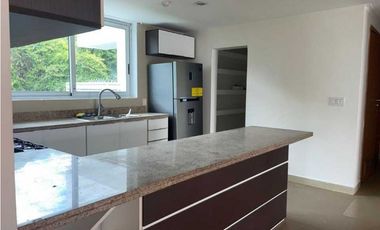 ALQUILER APARTAMENTO  NAOS CAUSEWAY AMADOR