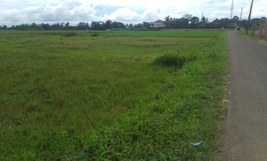 Kavling Villa Bogor