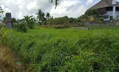 Leasehold - Rare Land for Sale in Ubud - 2 Mins from Odette Ubud, Bali!