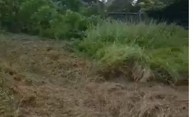 Leasehold - Rare Land for Sale in Ubud - 2 Mins from Odette Ubud, Bali!