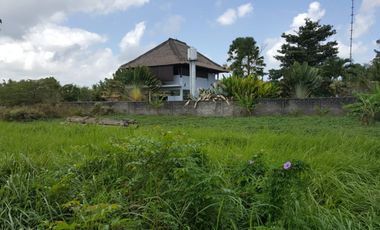 Leasehold - Rare Land for Sale in Ubud - 2 Mins from Odette Ubud, Bali!