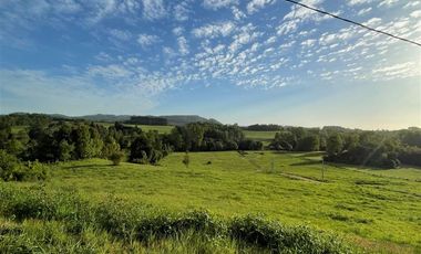 Parcela en Venta en ULTIMAS UNIDADES Parcelación Agricola Los Cipreses 5. 000 m2, Paillaco, Futrono, Valdivia