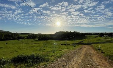Parcela en Venta en ULTIMAS UNIDADES Parcelación Agricola Los Cipreses 5. 000 m2, Paillaco, Futrono, Valdivia