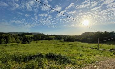 Parcela en Venta en ULTIMAS UNIDADES Parcelación Agricola Los Cipreses 5. 000 m2, Paillaco, Futrono, Valdivia