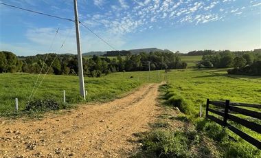 Parcela en Venta en ULTIMAS UNIDADES Parcelación Agricola Los Cipreses 5. 000 m2, Paillaco, Futrono, Valdivia