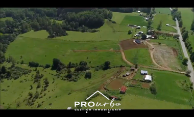 Parcela en Venta en ULTIMAS UNIDADES Parcelación Agricola Los Cipreses 5. 000 m2, Paillaco, Futrono, Valdivia