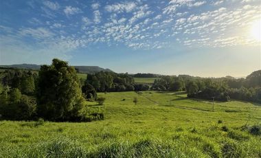 Parcela en Venta en ULTIMAS UNIDADES Parcelación Agricola Los Cipreses 5. 000 m2, Paillaco, Futrono, Valdivia