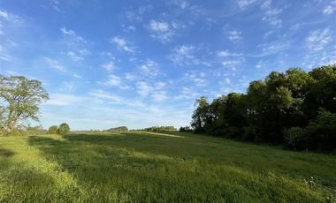 Parcela en Venta en ULTIMAS UNIDADES Parcelación Agricola Los Cipreses 5. 000 m2, Paillaco, Futrono, Valdivia