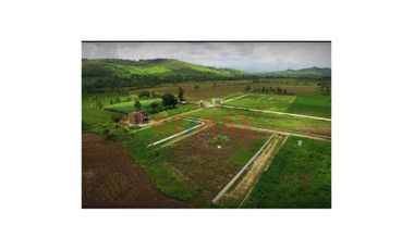 Terreno En Venta En Condominio Las Palmas I – Cacatachi, Tarapoto