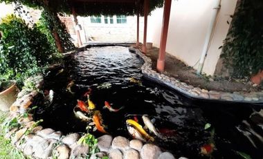 Luxury house for sale in Chiangmai