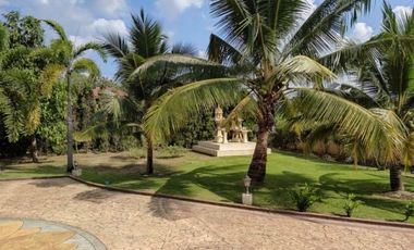 Luxury house for sale in Chiangmai