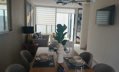 cer Viñedos San Marcos