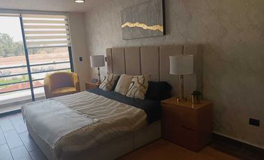 cer Viñedos San Marcos