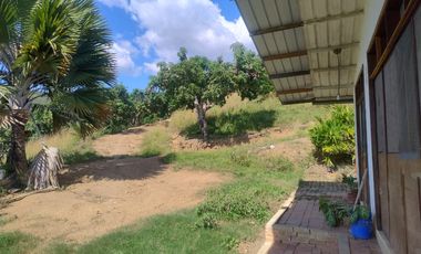 finca en venta en la chica. Cod V9763743