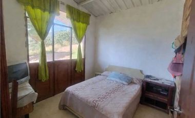 finca en venta en la chica. Cod V9763743