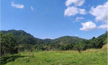 finca en venta en la chica. Cod V9763743