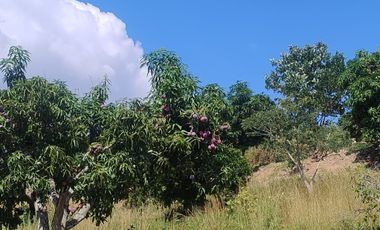 finca en venta en la chica. Cod V9763743