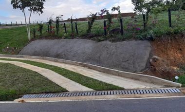 lote en venta en pance. Cod V8965