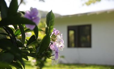 SE VENDE CASA MIRABELLA DEL VALLE  - 4203DM