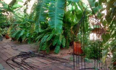 casa en venta en caobos. Cod V10225