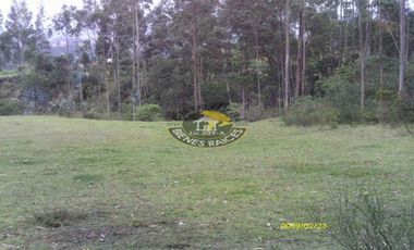 Terreno de venta en Ricaurte – código:10738