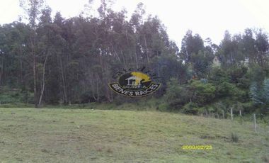 Terreno de venta en Ricaurte – código:10738