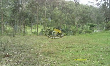 Terreno de venta en Ricaurte – código:10738