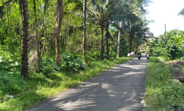 Kavling Standar 5 Menit Ke Pasar Borobudur