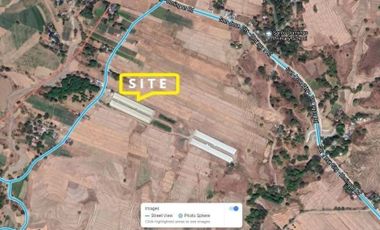 POULTRY FARM W/ 4 OPERATIONAL TUNNEL-VENT CHICKEN HOUSES CAP 39K BIRDS/H ON A 3.5 HECTARES TITLED LOT, LUPAO, NUEVA ECIJA
