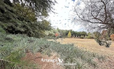 Santa Luisa, Sector Los Almendros, Caletera San Martín Ote