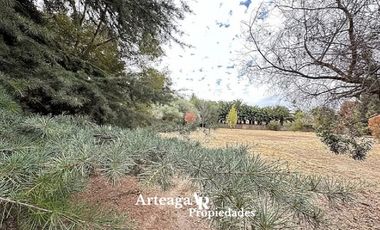 Santa Luisa, Sector Los Almendros, Caletera San Martín Ote