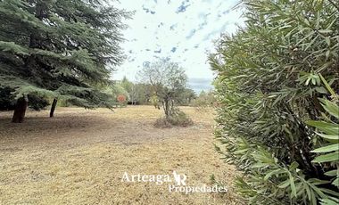 Santa Luisa, Sector Los Almendros, Caletera San Martín Ote