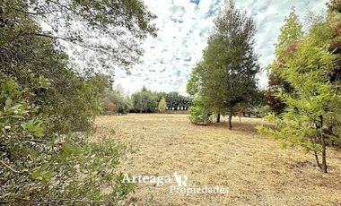 Santa Luisa, Sector Los Almendros, Caletera San Martín Ote