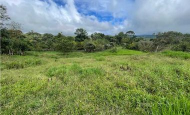 VENDO FINCA DE 13 HECTAREAS COORDILLERA