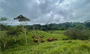VENDO FINCA DE 13 HECTAREAS COORDILLERA