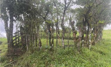 VENDO FINCA DE 13 HECTAREAS COORDILLERA