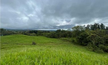 VENDO FINCA DE 13 HECTAREAS COORDILLERA