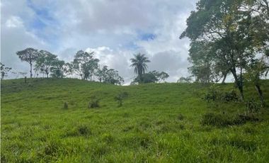 VENDO FINCA DE 13 HECTAREAS COORDILLERA