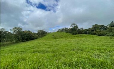 VENDO FINCA DE 13 HECTAREAS COORDILLERA