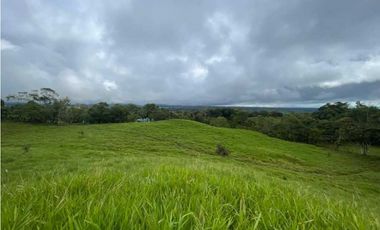 VENDO FINCA DE 13 HECTAREAS COORDILLERA