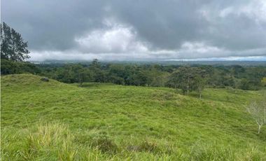 VENDO FINCA DE 13 HECTAREAS COORDILLERA