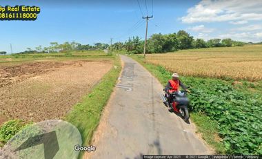 Tanah 42 ha Dijual 500 rb/m2 ng di jalan Tegal Kacang Patapan Beber Cirebon Jawa Barat
