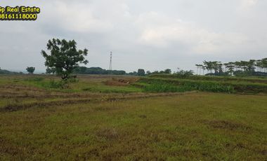 Tanah 42 ha Dijual 500 rb/m2 ng di jalan Tegal Kacang Patapan Beber Cirebon Jawa Barat
