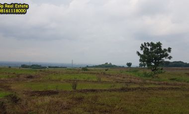 Tanah 42 ha Dijual 500 rb/m2 ng di jalan Tegal Kacang Patapan Beber Cirebon Jawa Barat