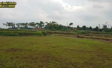 Tanah 42 ha Dijual 500 rb/m2 ng di jalan Tegal Kacang Patapan Beber Cirebon Jawa Barat