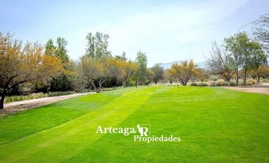 Hacienda Chicureo